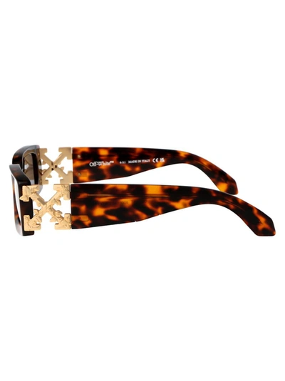 Off-white Sunglasses In 6007 Havana