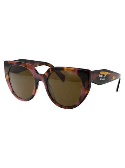 Shop Prada Sunglasses In 18n01t Tortoise Cognac Begonia