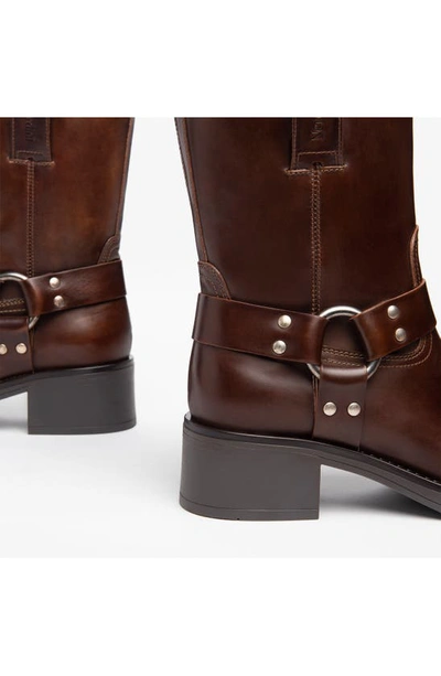 Nerogiardini Leather Harness Biker Booties In Brown