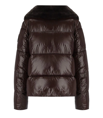 Shop Save The Duck Moma Brown Cropped Padded Jacket