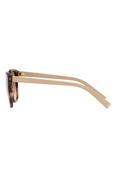 Prada 53mm Gradient Square Sunglasses In Brown Tortus