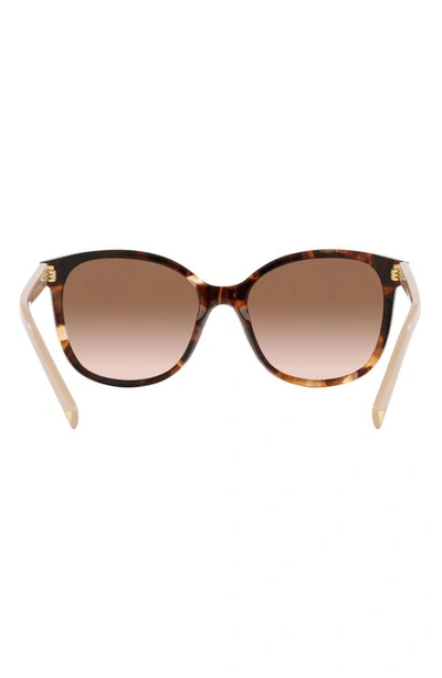 Prada 53mm Gradient Square Sunglasses In Brown Tortus
