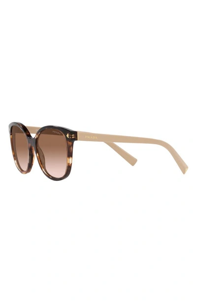 Prada 53mm Gradient Square Sunglasses In Brown Tortus