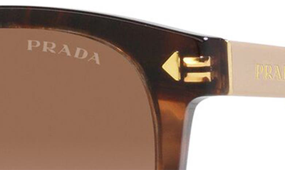 Prada 53mm Gradient Square Sunglasses In Brown Tortus