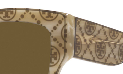 Shop Tory Burch 54mm Butterfly Sunglasses In Olive