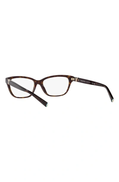 Shop Tiffany & Co . 54mm Pillow Optical Glasses In Havana