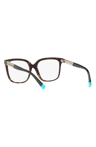 Shop Tiffany & Co 54mm Square Optical Glasses In Havana