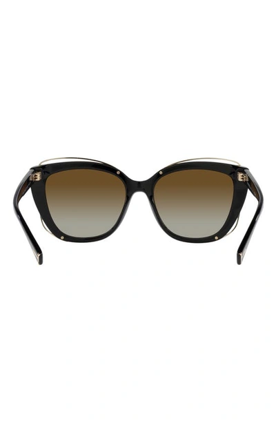 Tiffany & Co 54mm Gradient Polarized Cat Eye Sunglasses In Brown Gradient