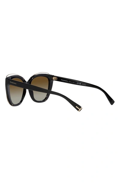 Tiffany & Co 54mm Gradient Polarized Cat Eye Sunglasses In Brown Gradient