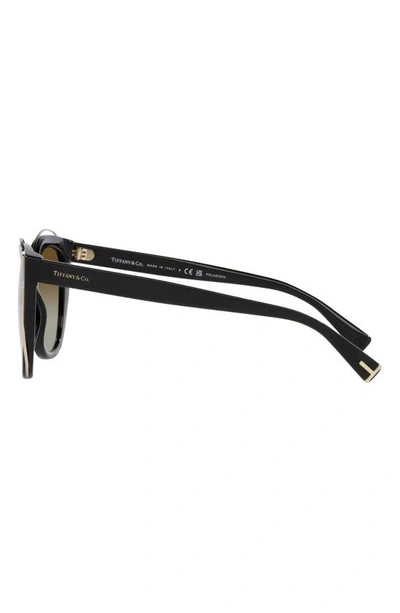 Tiffany & Co 54mm Gradient Polarized Cat Eye Sunglasses In Brown Gradient