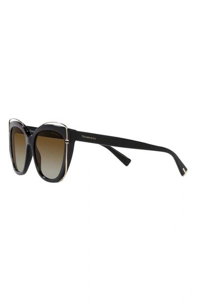 Tiffany & Co 54mm Gradient Polarized Cat Eye Sunglasses In Brown Gradient