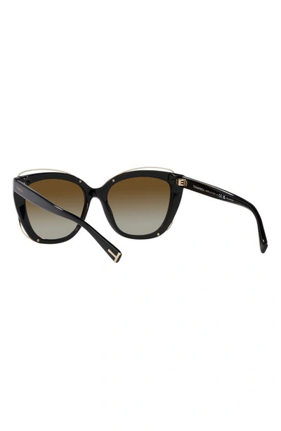 Tiffany & Co 54mm Gradient Polarized Cat Eye Sunglasses In Brown Gradient