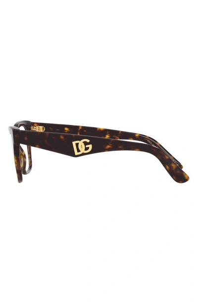 Dolce & Gabbana 53mm Square Optical Glasses In Havana