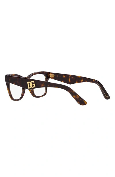 Dolce & Gabbana 53mm Square Optical Glasses In Havana