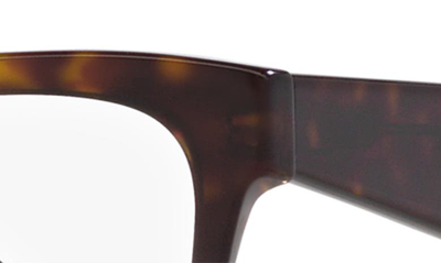 Dolce & Gabbana 53mm Square Optical Glasses In Havana