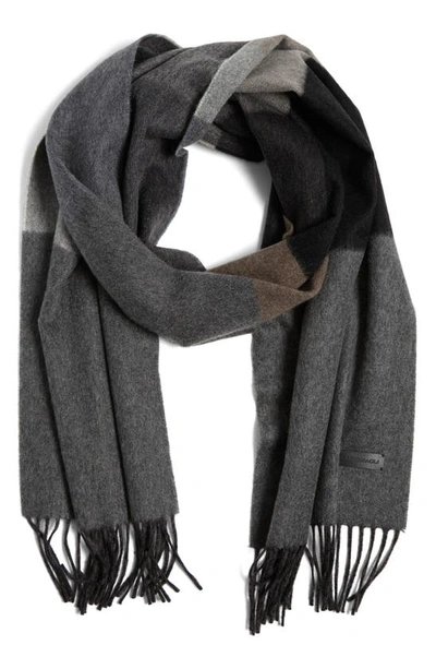 Bruno Magli Colorblock Cashmere Scarf In Black