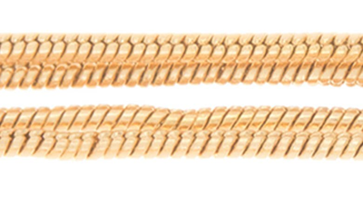 Tasha Twisted Snake Chain Linear Drop Earrings In Gold