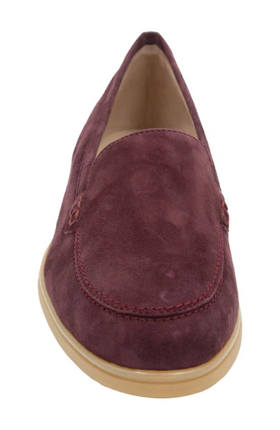 Shop Amalfi By Rangoni Rombo Loafer In Prugna Cashmere Beige Soles