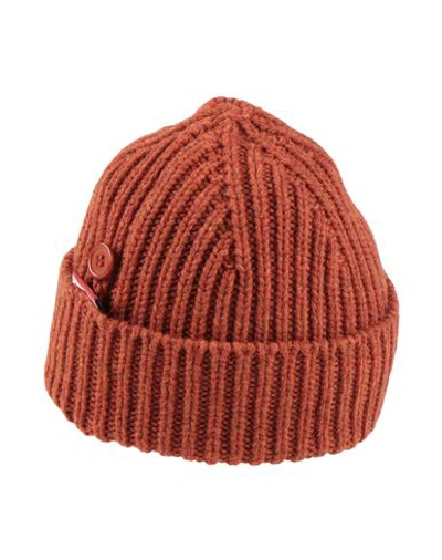 Shop Dsquared2 Woman Hat Rust Size S Wool In Red