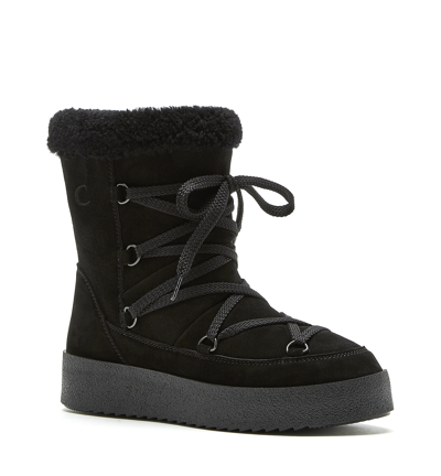 Shop La Canadienne Emery Shearling Lined Suede Boot In Black