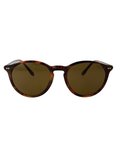 Shop Polo Ralph Lauren Eyewear Round Frame Sunglasses In Brown