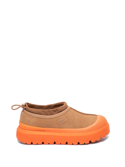 Shop Ugg `tasman Weather Hybrid` Shoes In Brown