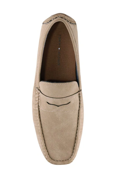Shop Tommy Hilfiger Amile Penny Driver Loafer In Taupe