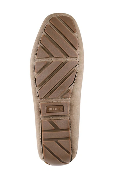 Shop Tommy Hilfiger Amile Penny Driver Loafer In Taupe