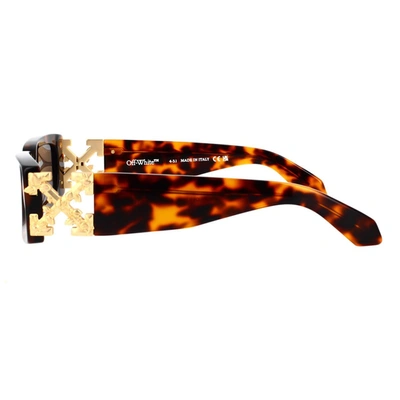Off-white Sunglasses In Havana