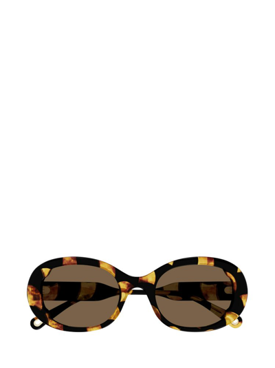 Shop Chloé Eyewear Retro Oval Frame Sunglasses In Multi