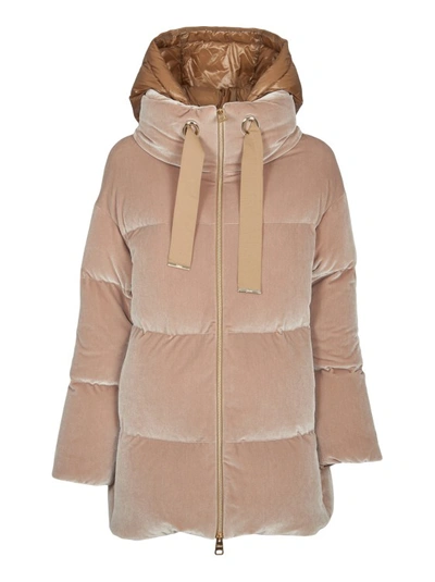 Shop Herno Sand-colored Down Jacket In Brown