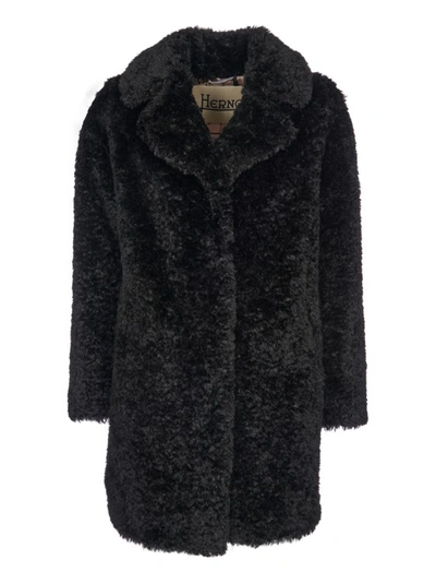 Shop Herno Black Bear-effect Coat