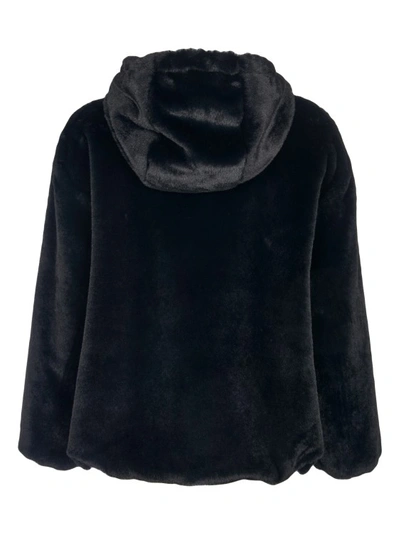 Shop Herno Black Faux Fur Jacket