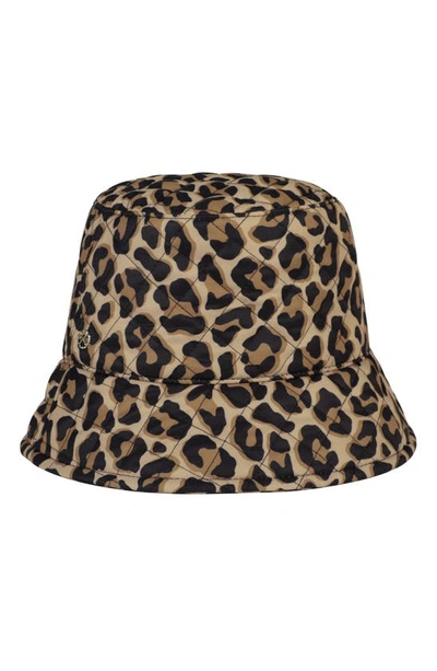 Shop Kate Spade Animal Print Bucket Hat In Roasted Cashew