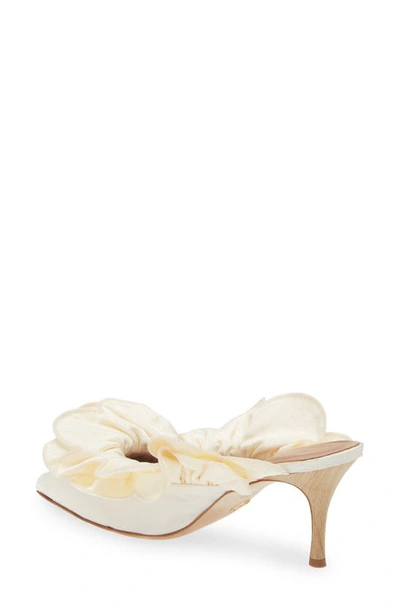 Shop Brother Vellies Stell Ruffle Pointed Toe Mule In Ivory
