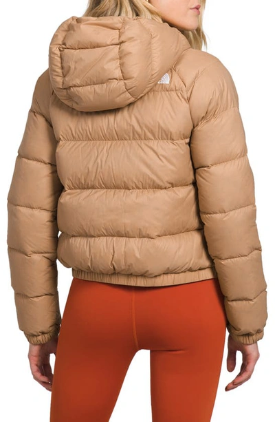 Shop The North Face Hydrenalite Hooded Down Jacket In Almond Butter