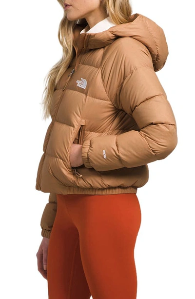 Shop The North Face Hydrenalite Hooded Down Jacket In Almond Butter