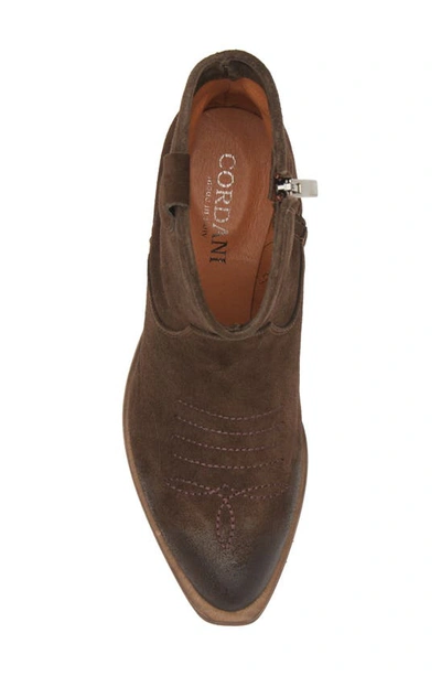 Cordani Provo Western Boot In Brown