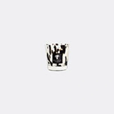 Baobab Collection Candlelight And Scents Multicolor Uni In Multicolor