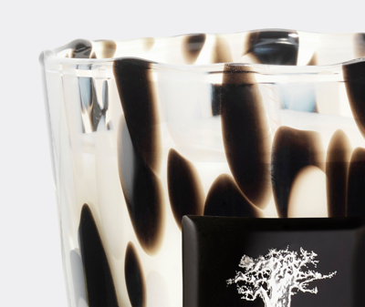Baobab Collection Candlelight And Scents Multicolor Uni In Multicolor
