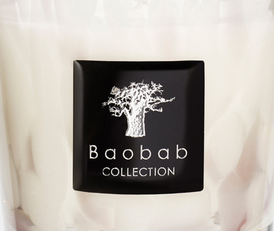 Baobab Collection Candlelight And Scents Multicolor Uni In Multicolor