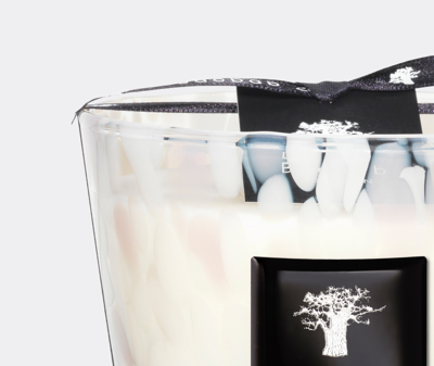 Baobab Collection Candlelight And Scents Multicolor Uni In Multicolor