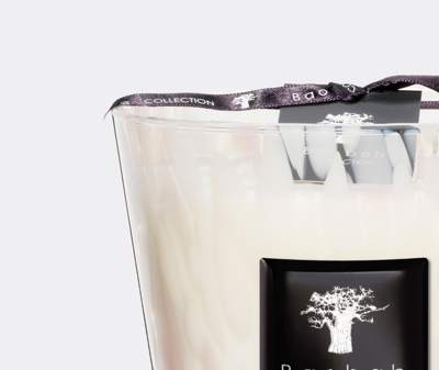 Baobab Collection Candlelight And Scents Multicolor Uni In Multicolor