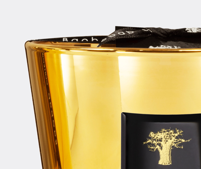 Baobab Collection Candlelight And Scents Gold Uni In Gold