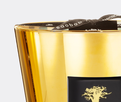Baobab Collection Candlelight And Scents Gold Uni In Gold