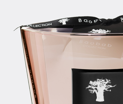 Baobab Collection Candlelight And Scents Pink Uni In Pink
