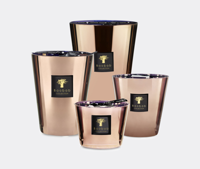 Baobab Collection Candlelight And Scents Bronze Uni In Bronze