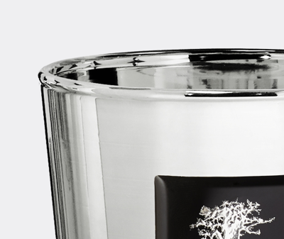 Baobab Collection Candlelight And Scents Silver Uni In Silver