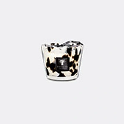 Baobab Collection Candlelight And Scents Multicolor Uni In Multicolor