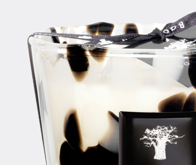 Baobab Collection Candlelight And Scents Multicolor Uni In Multicolor